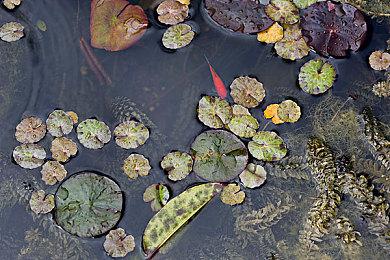 《街头霸王6》销量突破300万 官方贺图发布